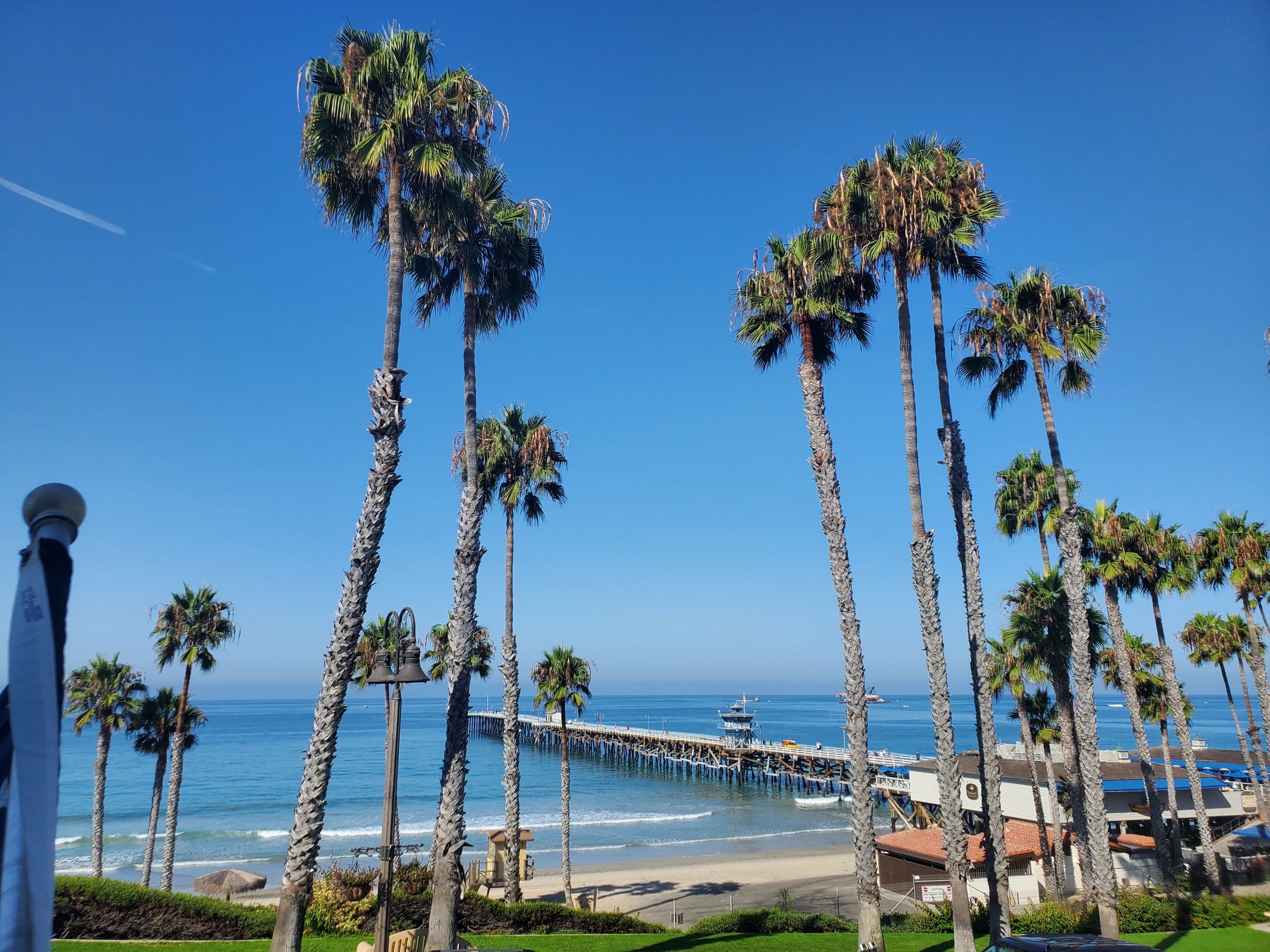 A beach with palm trees and pier in the background.