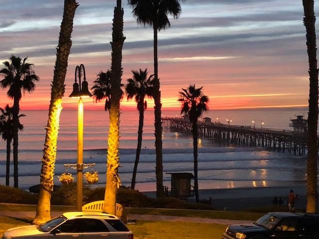 A view of the ocean and palm trees at sunset.