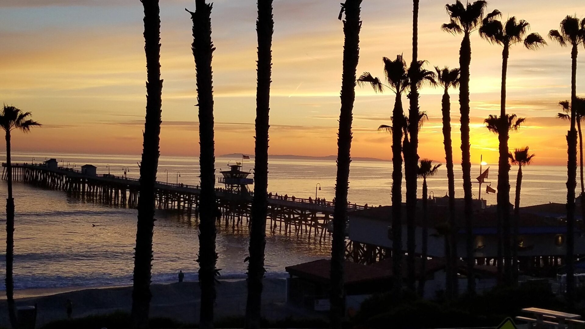 A pier with palm trees in the foreground at sunset.